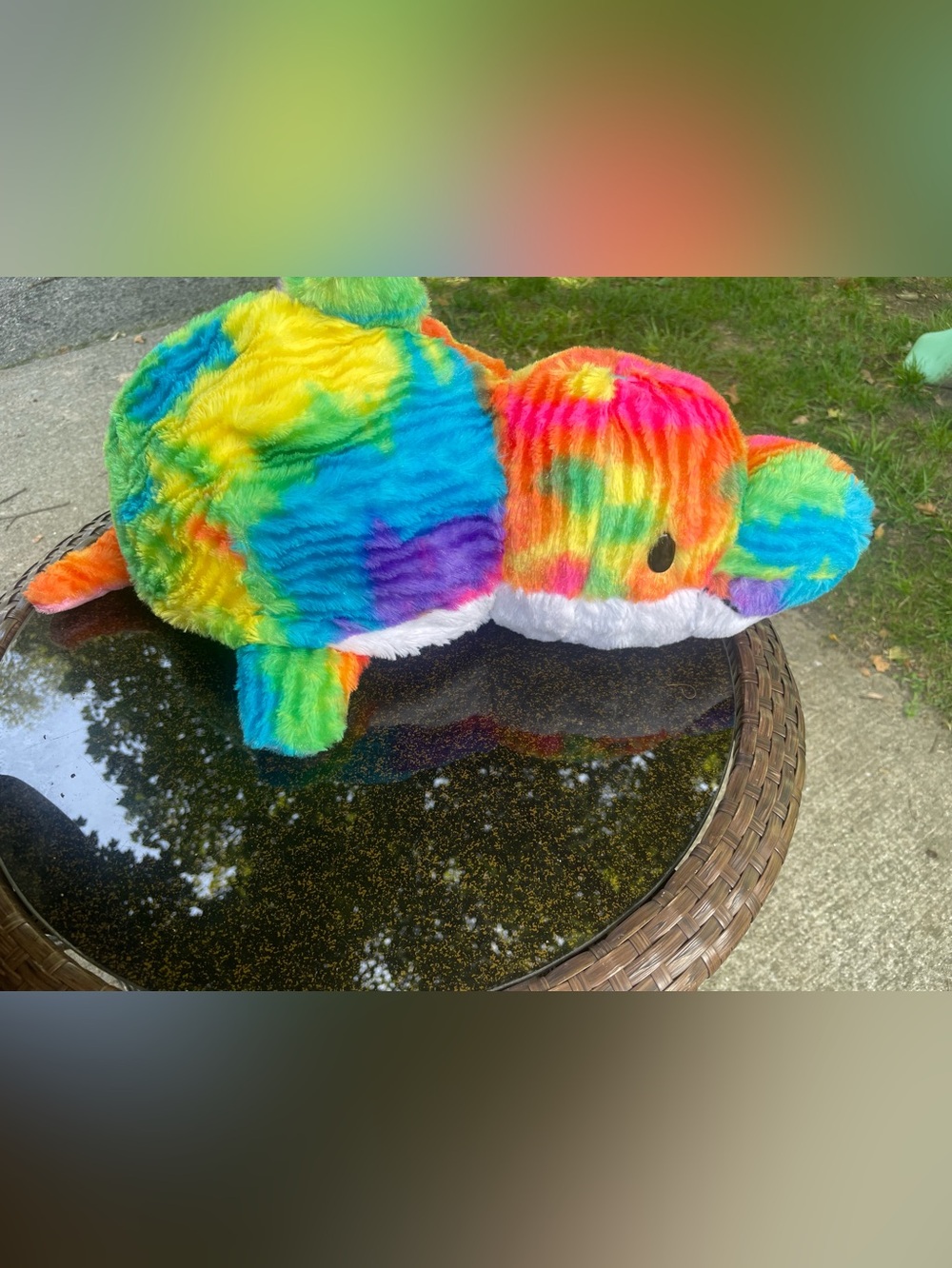 Rainbow Plush Toy for Small Pets - Multicolor